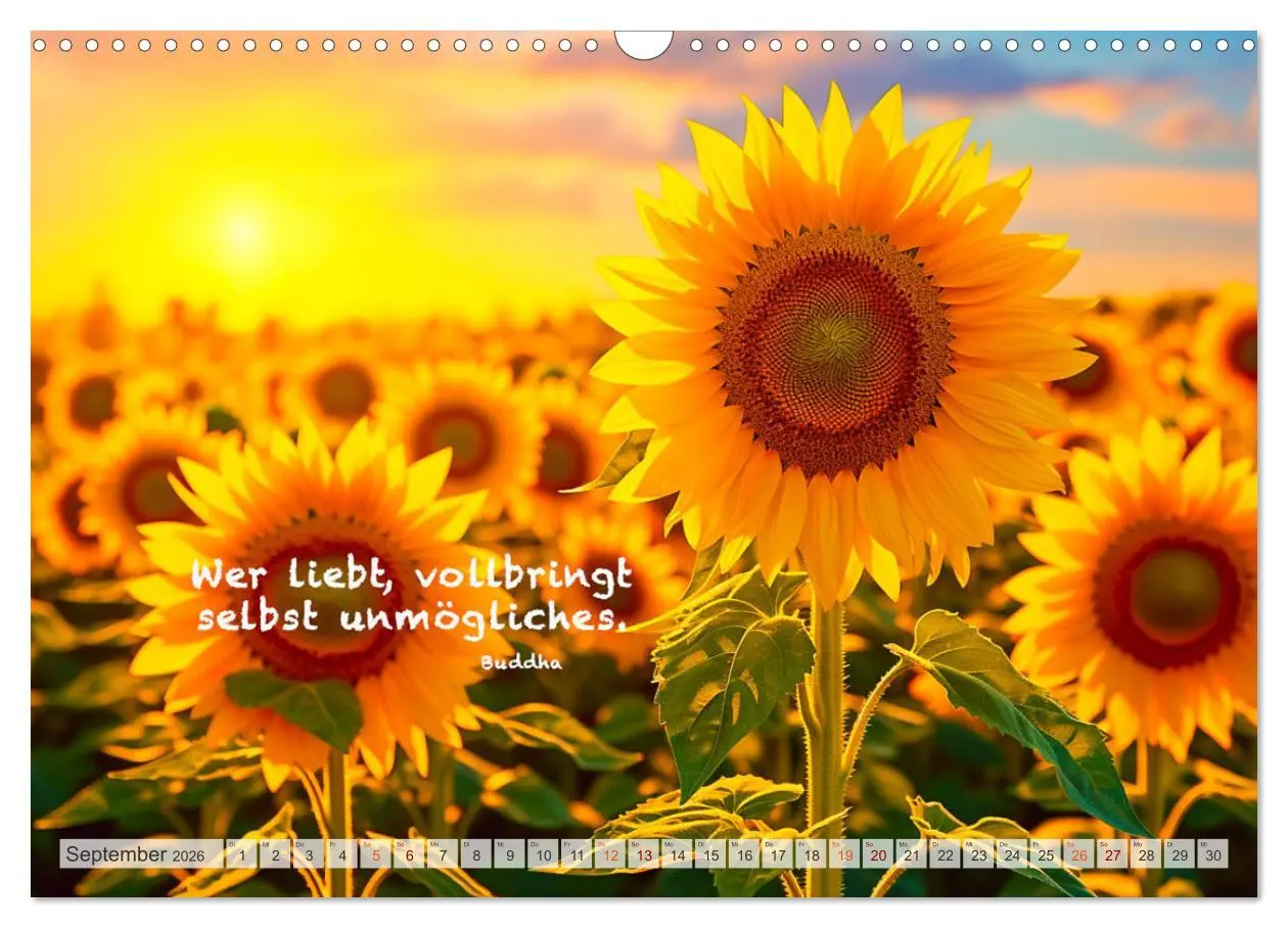 Bild: 9783457531679 | Meditation und innerer Frieden (Wandkalender 2026 DIN A3 quer),...